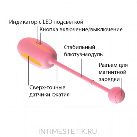 Magic Kegel Coach - смарт тренажер Кегеля с приложением